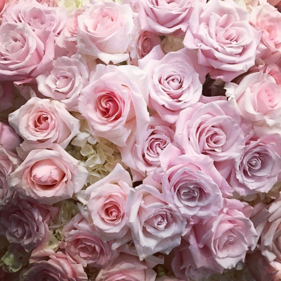 Meet your Posher, J 💗posh ambassador! - Picture 1 of 1